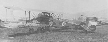 Š-6 1. LP v tříbarevné kamufláži z období 1922-26 .